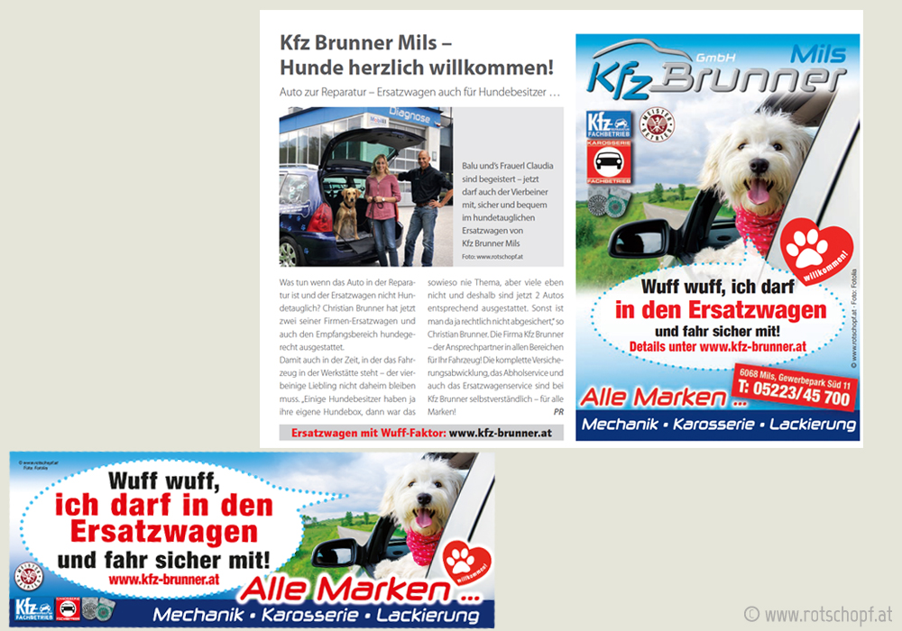 kfz-brunner-PR_hundewerbung_rotschopf.jpg